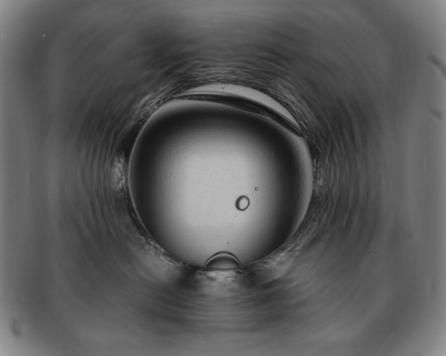 X0000091450478200708231259