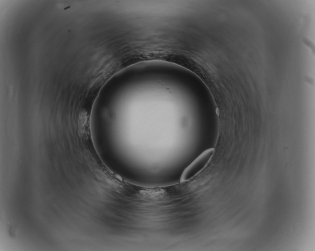 X0000091450480200708231259