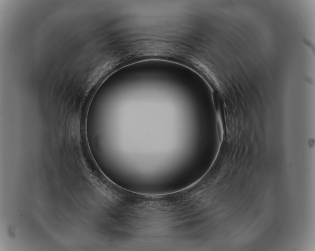 X0000091450482200708231258