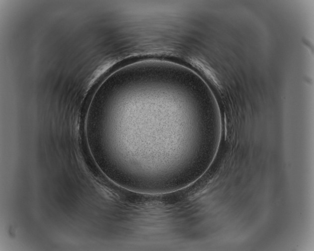 X0000091450483200708231258