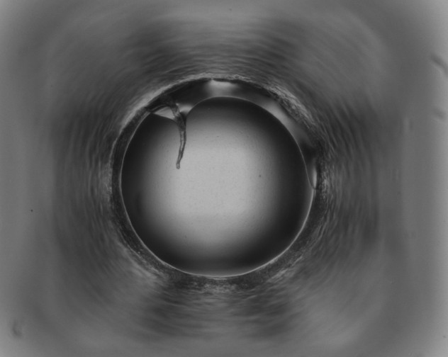 X0000091450484200708231258