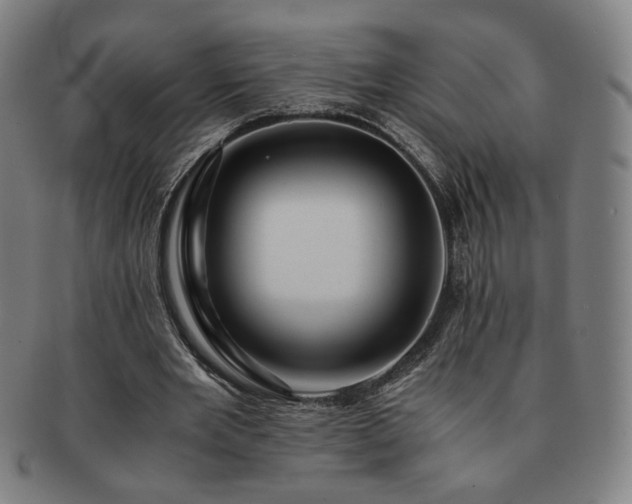 X0000091450485200708231258
