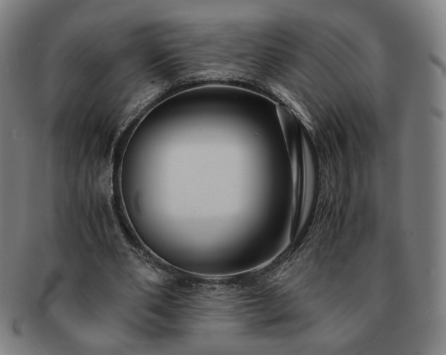 X0000091450486200708231258