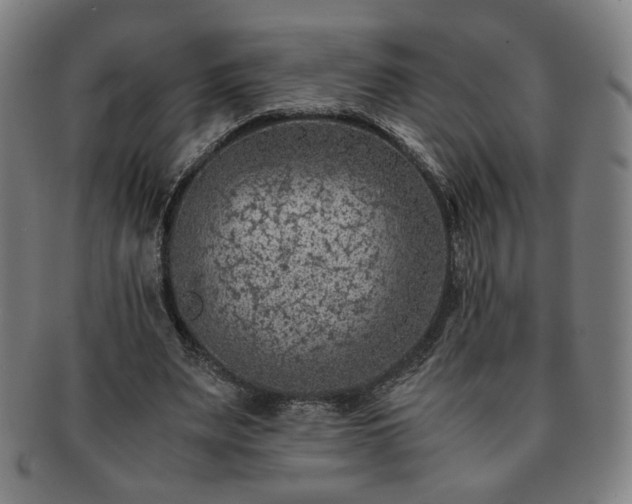 X0000091450487200708231258