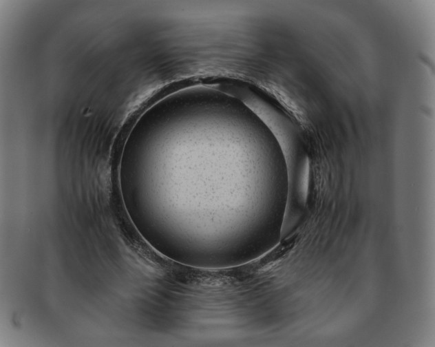 X0000091450488200708231258
