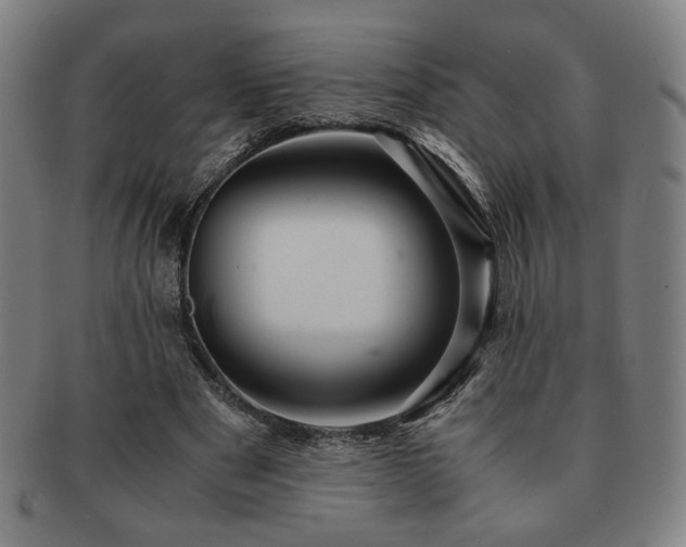 X0000091450489200708231258