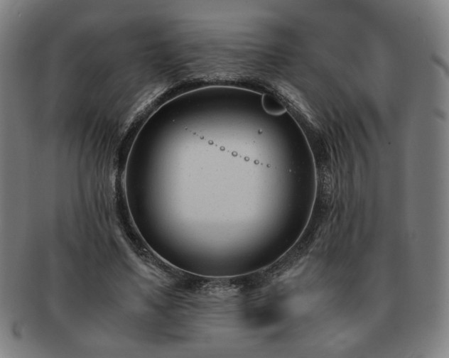 X0000091450491200708231258