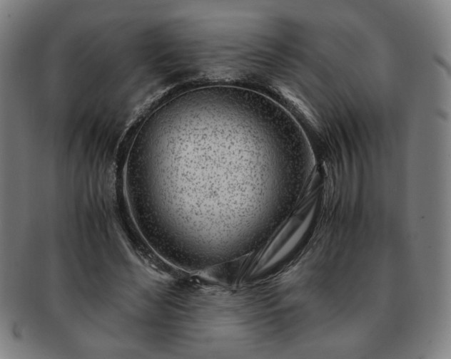 X0000091450492200708231258