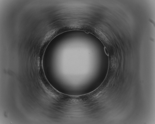 X0000091450494200708231258