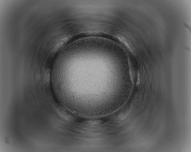 X0000091450495200708231258