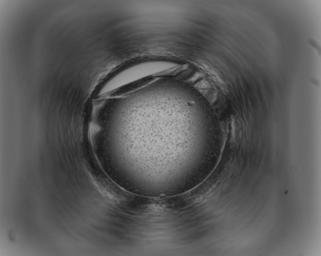 X0000091450496200708231258
