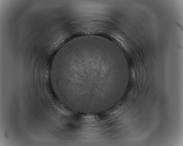 X0000091450499200708231258