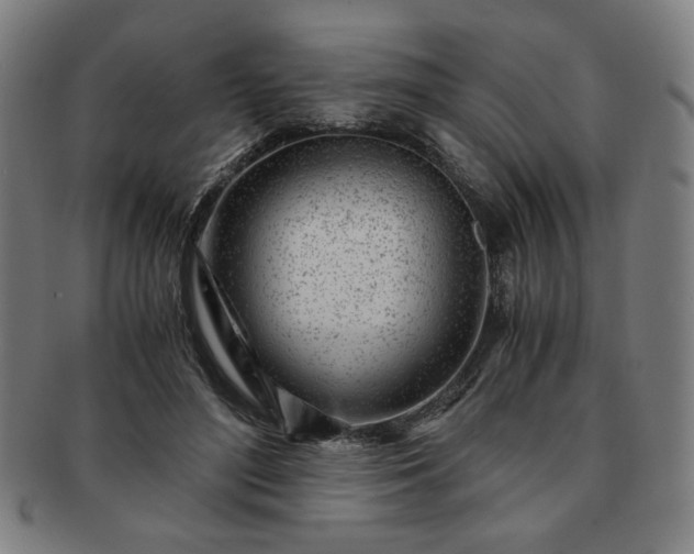 X0000091450500200708231258
