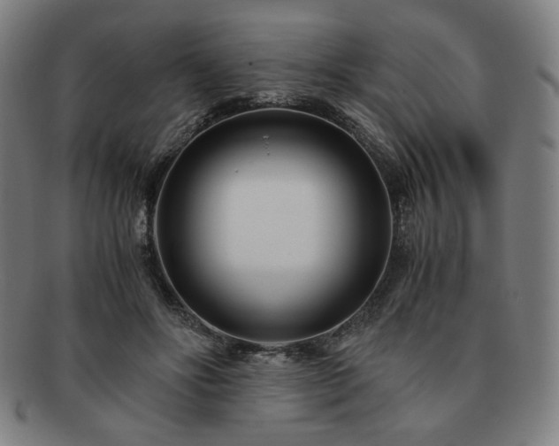 X0000091450502200708231258