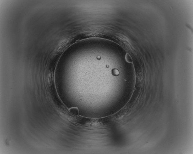 X0000091450503200708231258