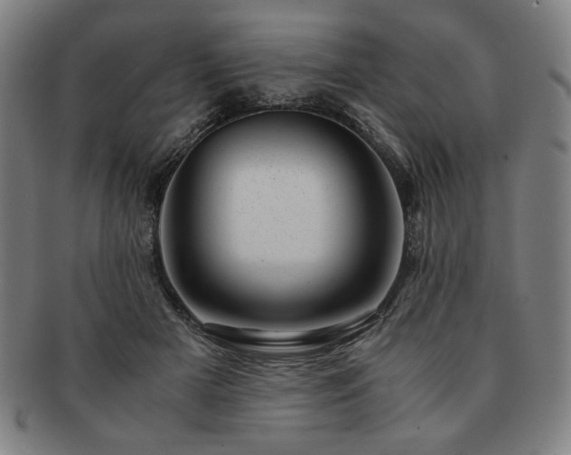 X0000091450505200708231258