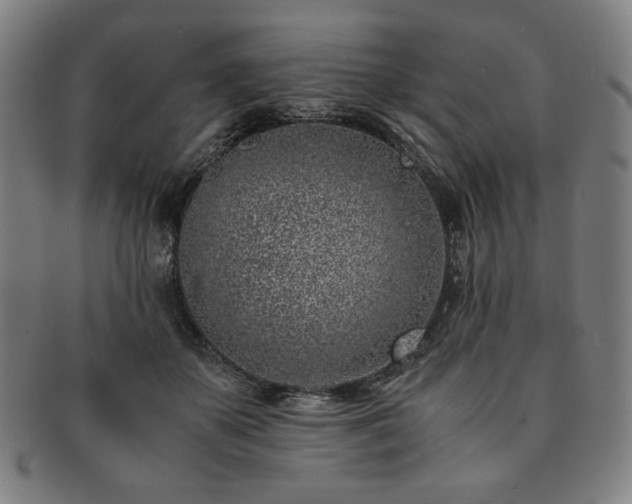 X0000091450507200708231258