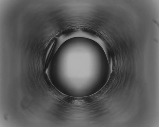 X0000091450508200708231258