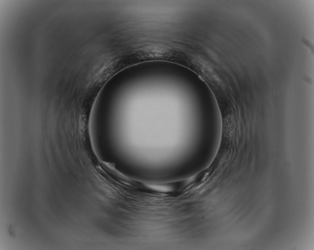 X0000091450509200708231258