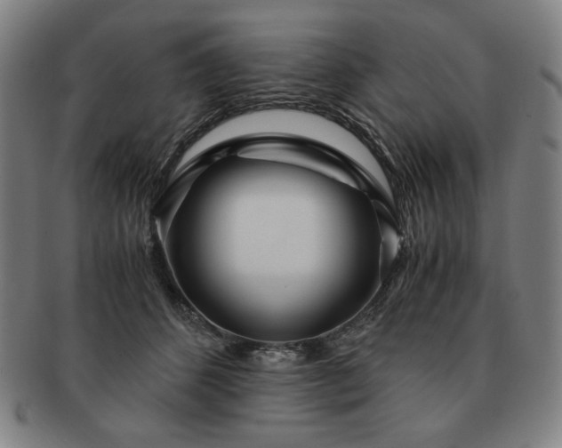 X0000091450512200708231258