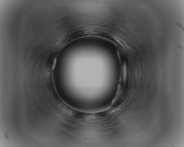 X0000091450513200708231258