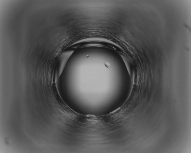 X0000091450516200708231258