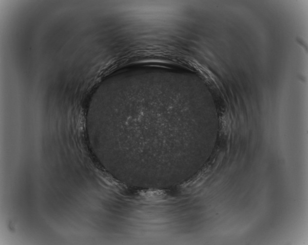 X0000091450517200708231258