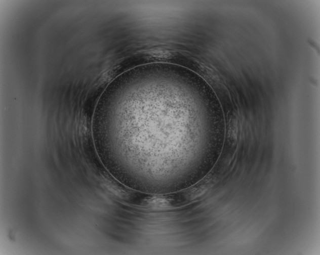 X0000091450518200708231257