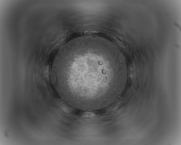 X0000091450519200708231257