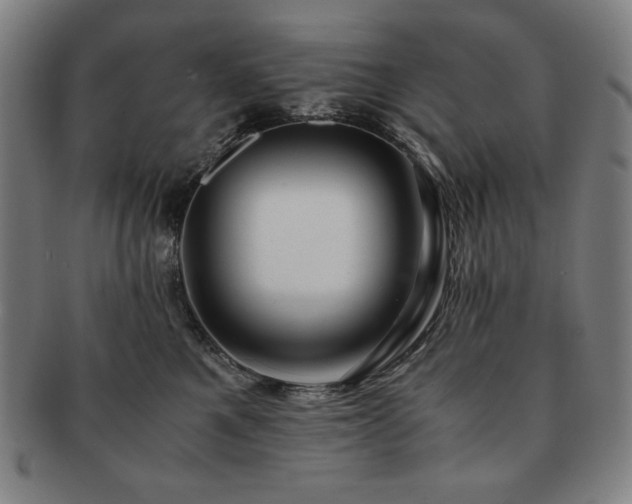 X0000091450521200708231257