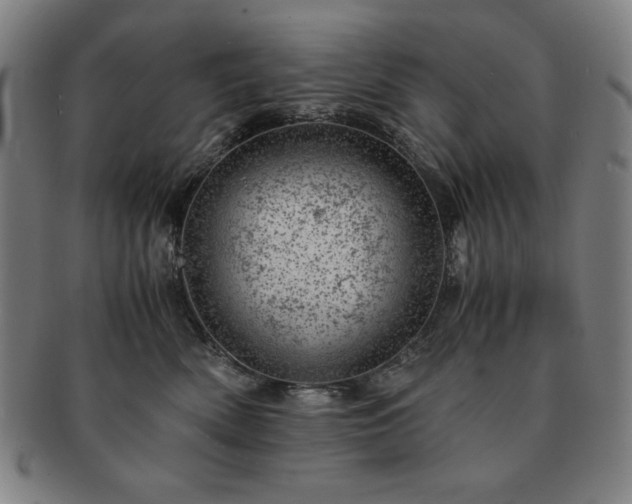 X0000091450522200708231257