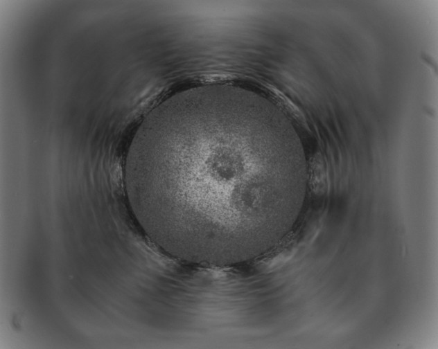 X0000091450523200708231257
