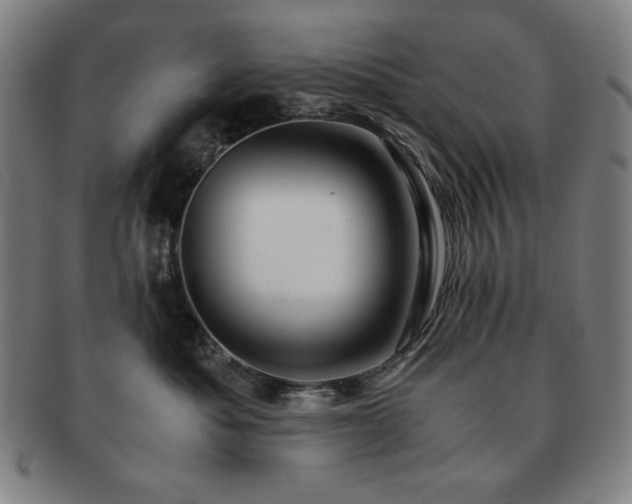 X0000091450525200708231257