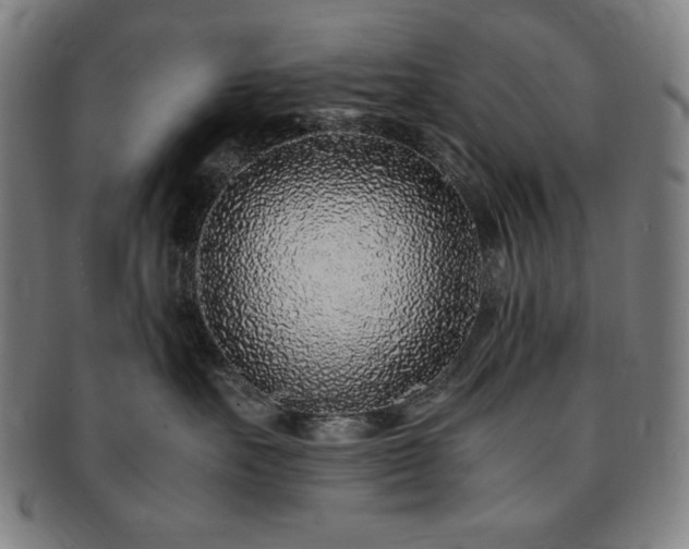 X0000091450527200708231257