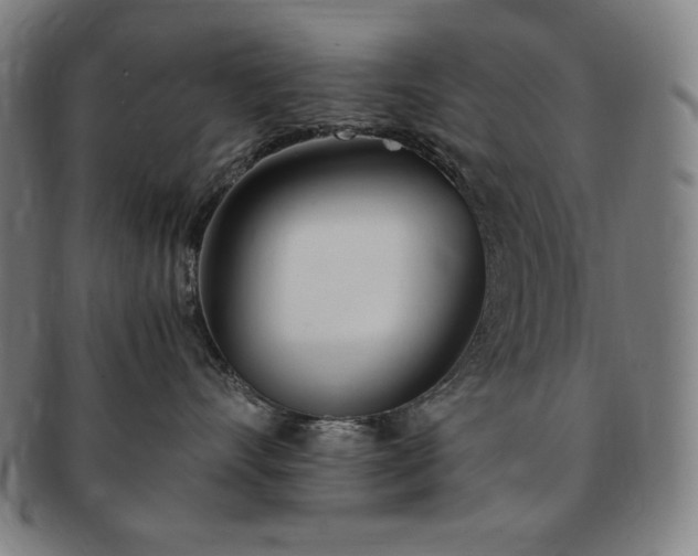 X0000091450528200708231257