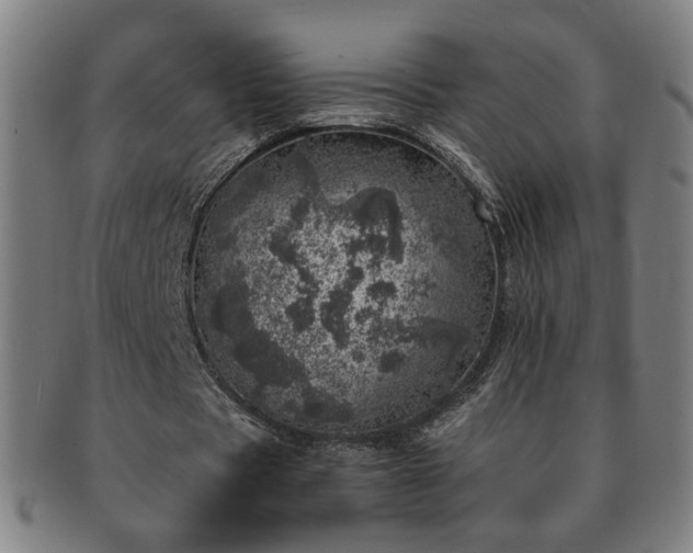 X0000091450529200708231257