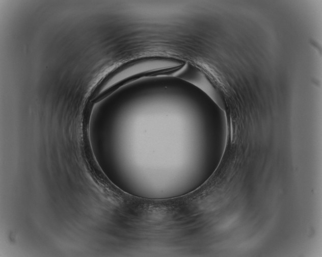 X0000091450531200708231257