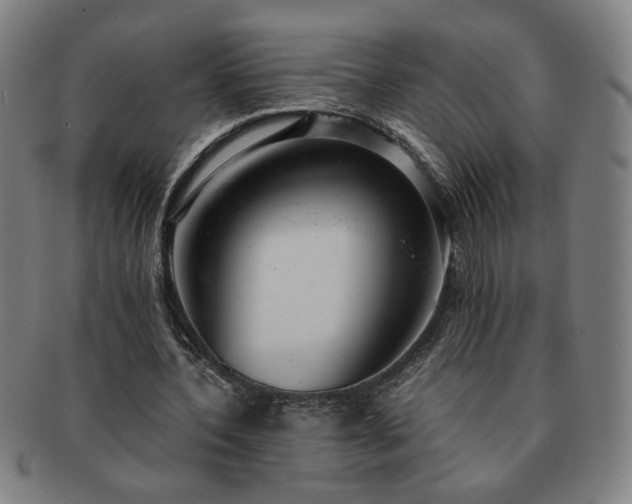 X0000091450532200708231257