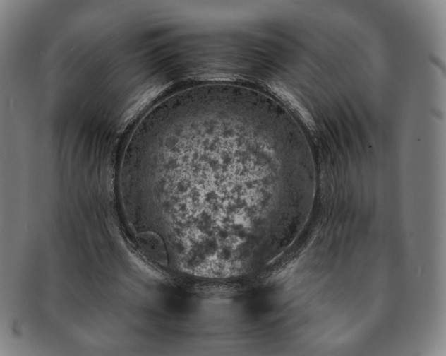 X0000091450533200708231257