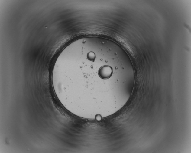 X0000091450534200708231257