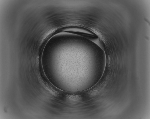 X0000091450535200708231257
