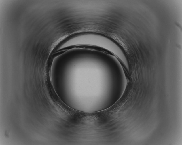 X0000091450536200708231257