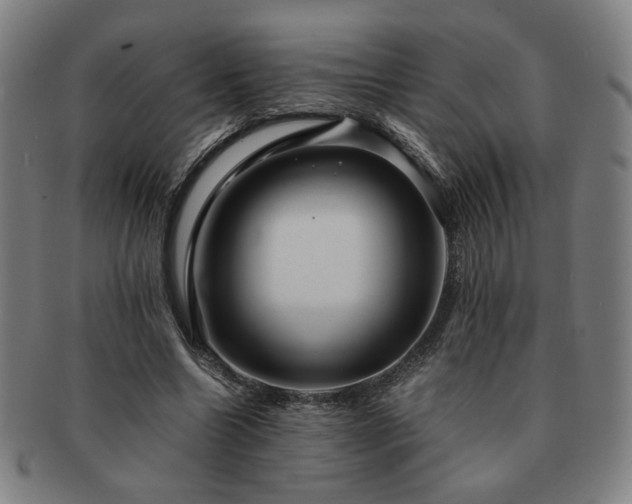 X0000091450538200708231257