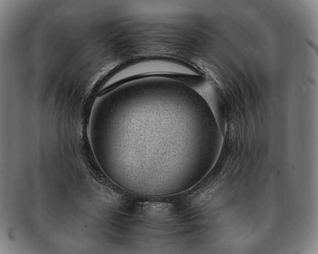 X0000091450539200708231257