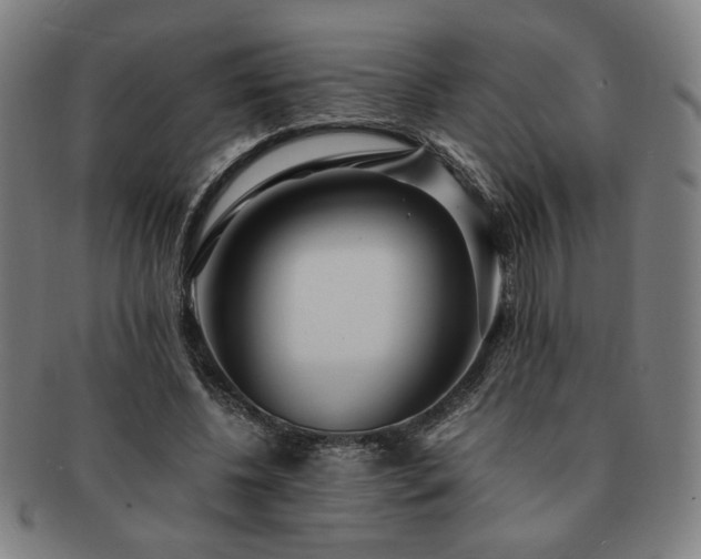 X0000091450540200708231257
