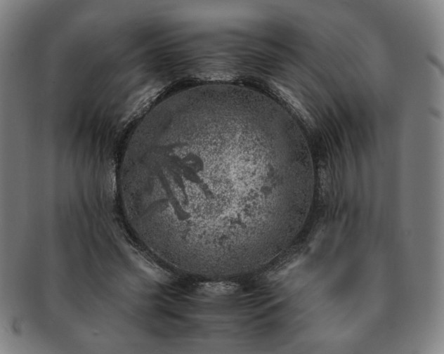 X0000091450541200708231257