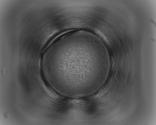 X0000091450542200708231257