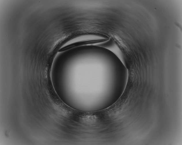 X0000091450543200708231257