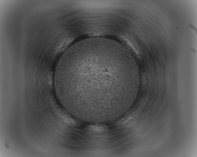 X0000091450545200708231257