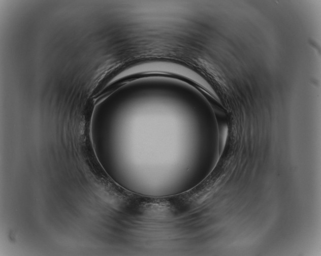 X0000091450548200708231257